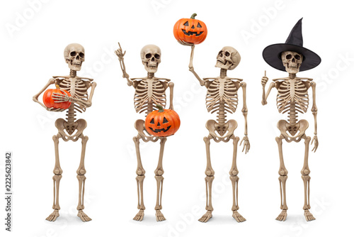Four skeletons with pumpkins and a witch hat celebrating Halloween in studio lighting