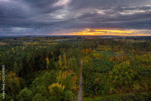 Aerial view of a narrow road through a forest at sunset
