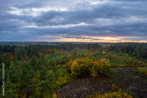 Aerial view of a mixed forest landscape during an autumn sunset