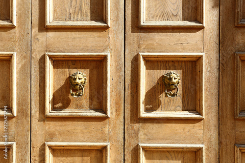 Architectural Door with Distinctive Design, Color and Decorative Details