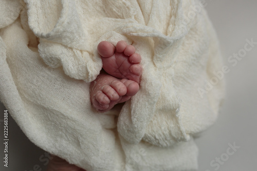 Newborn Baby Feet Wrapped in Soft White Fabric