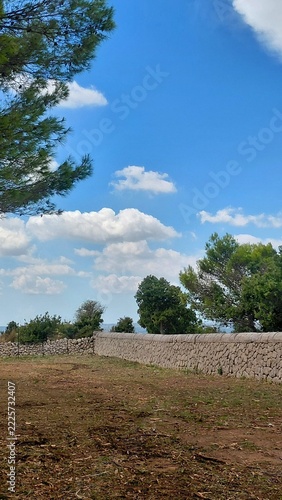 Scenic countryside landscape featuring a traditional rural dry stone wall under a bright blue sky with fluffy white clouds. Typical Mediterranean architecture and countryside view with green pine tree