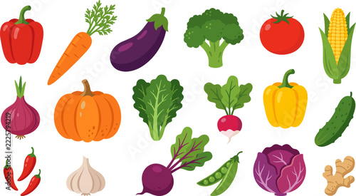 Colorful cartoon fresh vegetables collection set pepper carrot eggplant broccoli tomato corn onion pumpkin beet cabbage illustration vector isolated