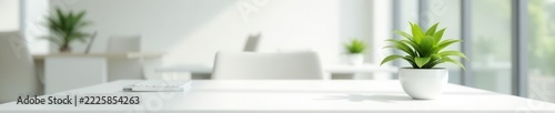 Clean white cubicle, single green plant on desk, modern office, room, green plant