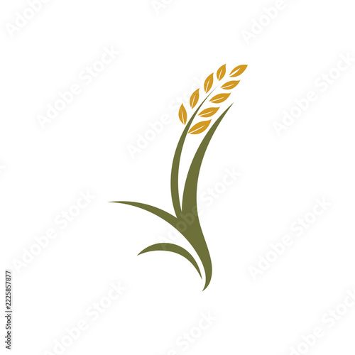Minimalist icon of a rice plant