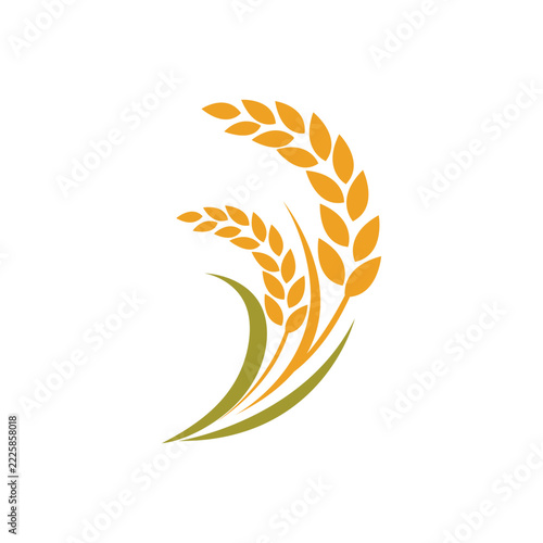 Minimalist icon of a rice plant