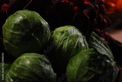cabbage and radish 