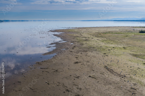 Goczalkowice Reservoir showing low water level shoreline