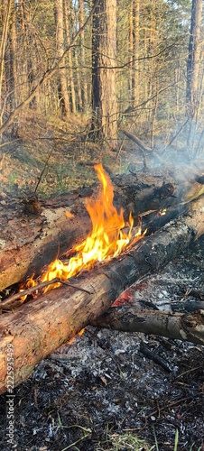 A bonfire with red flames burns on the riverbank.