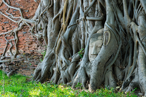 Fotografie Stone Buddha head entwined in banyan tree roots in Ayutthaya