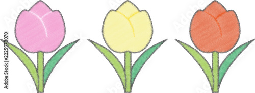 튤립 색칠하기