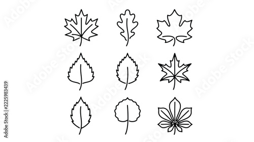 Nine minimalist black line art botanical leaf icon set