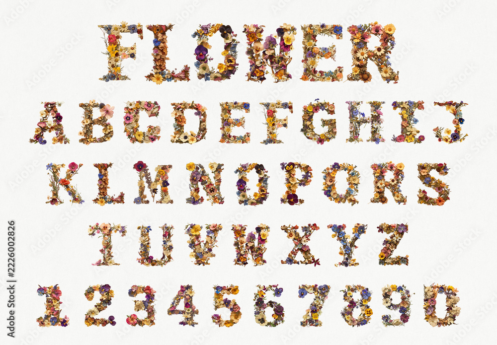 Numbee Font Floral Alphabet With Numbers Font Set Stock Template | Adobe Stock