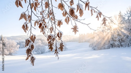 Frost covered brown leaves on branches framing idyllic winter landscape with snowy fields and bright sun flare. AI generated.