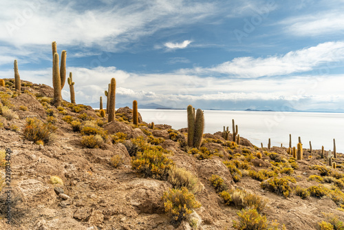 Salar de Uyuni salt plains with large cactuses of island Incahuasi at sunrise time, Andean Altiplano, Bolivia, South America.