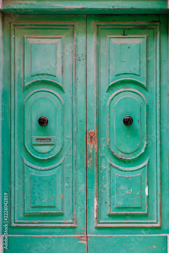 Old Weathered Green Wooden Double Door with Ornate Panels