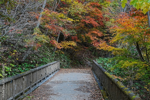 Bridge surrounded by colorful autumn leaves at Larumanai Falls, Hokkaido