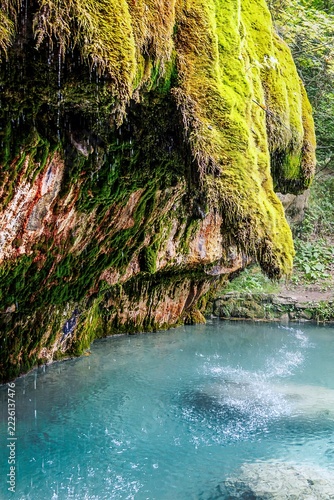Nature photograph: close-up of the Kalletuffquell spring in the Mullerthal nature reserve