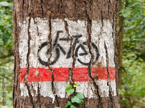 Bicycle Trail Marker Painted On Tree Trunk In Lush Forest With Red And White Banding
