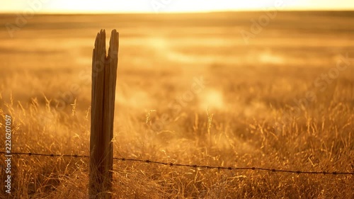 Golden sunset lighting up a rustic wooden fence post and barbed wire in a vast open grassland prairie