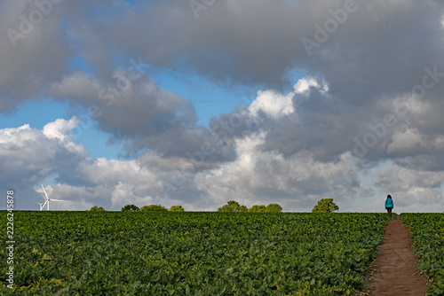 Autumnal Sprotbrough cloudscape, in October, 2026.