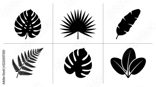 Tropical leaf silhouettes set with monstera, palm and banana leaves, fern and spinach for nature design