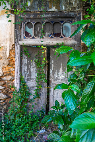 Old weathered door overgrown with green plants, Southern Province, Galle, Sri Lanka