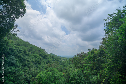 Scenic View of Lush Green Jungle Behind Gorge in Thailand