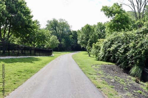 The long pathway in the park on a sunny day.