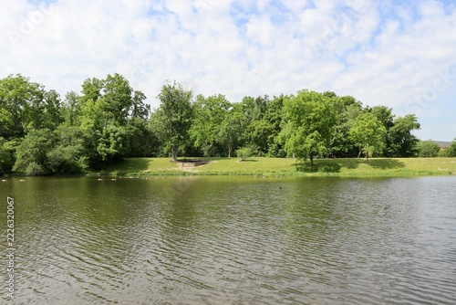 The pond in the park on a sunny day.