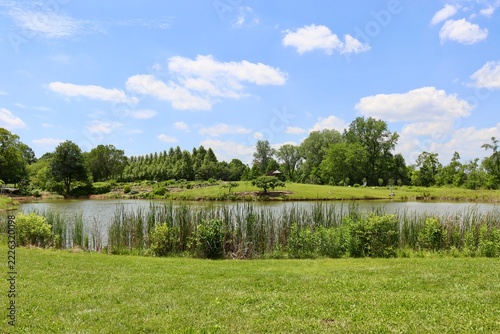 The peaceful pond in the country on a sunny day.