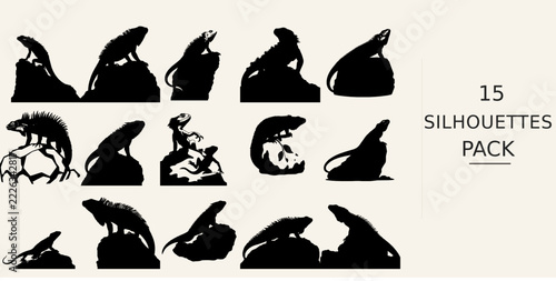 Iguana Basking on a Rock Silhouette Fine Detail Premium Vector Silhouette Vector SVG Black Shape on White Background Clipart Graphic
