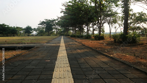 Paved pedestrian path with tactile paving block surrounded by green trees in a city park