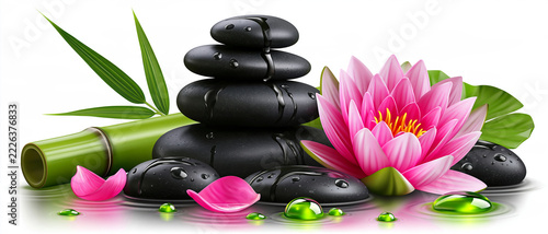 Bannière spa et bien-être : pierres de basalte, fleur de lotus, tige de bambou et gouttes d'huile essentielle pour la relaxation, isolée sur fond blanc