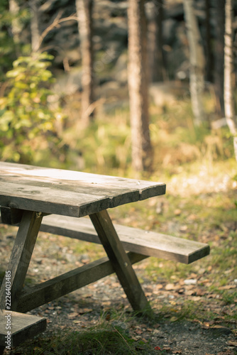 Rustic wooden picnic table in sunlit autumn forest, perfect spot for a break during a local hiking trip or outdoor camping, vertical image.