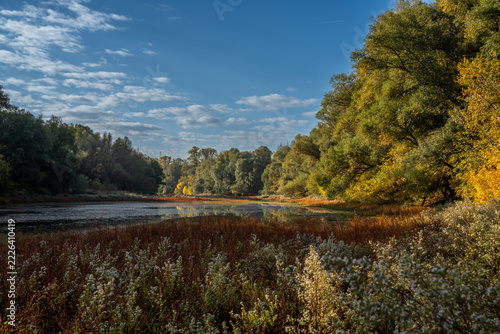 autumn landscape with lake
