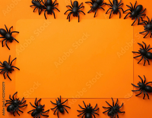 A flat-lay Halloween-themed composition of black toy spiders scattered around the edges of a bright orange rectangular surface