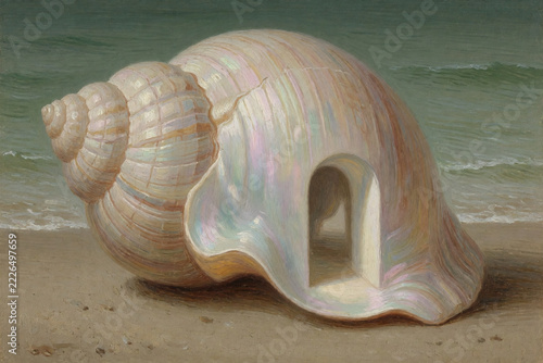 A Monumental Spiral Seashell With a Secret Illuminated Doorway on a Deserted Shore
