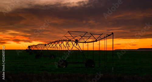 Center pivot irrigation system used for artificial irrigation of agricultural land cultivated with maize (Zea mays), cotton (Gossypium spp.), Texas, United States.