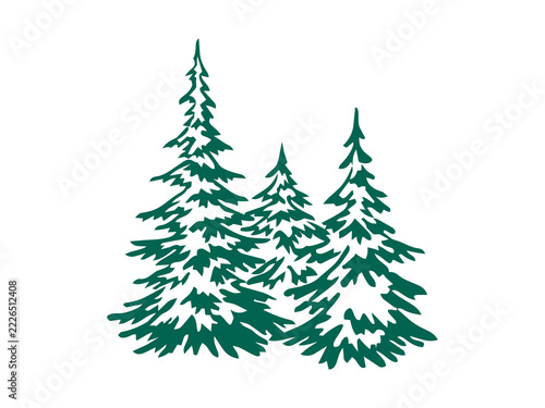This illustration features a vector silhouette of three pine or fir trees, rendered in a graphic sketch style against a white background.