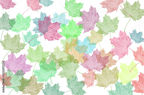 Pattern of colorful translucent maple leaves, bright abstract autumn background.