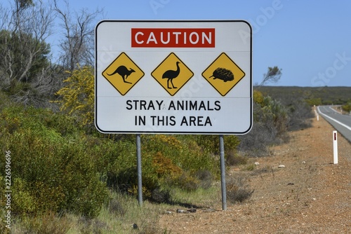Beware of wildlife sign on a country road near Cervantes, Shire of Dandaragan, State of Western Australia, Australia