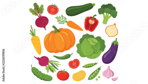 Fresh vegetables organic food vector illustration set. Pumpkin, broccoli, carrot, tomato, eggplant, cabbage, onion and garlic.