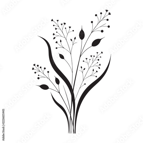 Wildflower Botanical Silhouette Collection with Leaves, Stems and Seed Pods