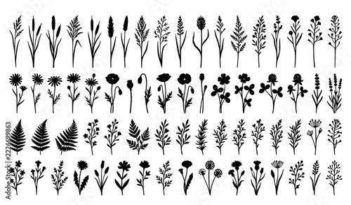 SEO Title:
Wildflowers, Meadow Grass and Herbs Black Silhouette Vector Collection