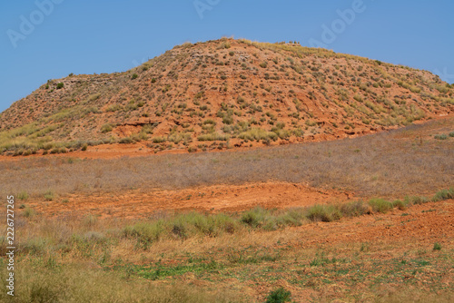 A sunlit, rust-coloured hillside covered in sparse grasses and hardy shrubs overlooks a dry, open plain. The vivid ochre soil and cloudless blue sky create a striking scene of arid wilderness