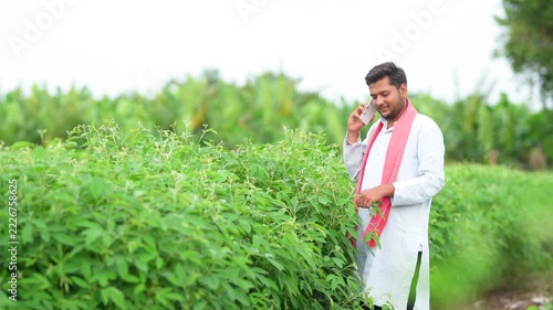 indian farmer talking on mobile phone at pigeon pea agriculture field