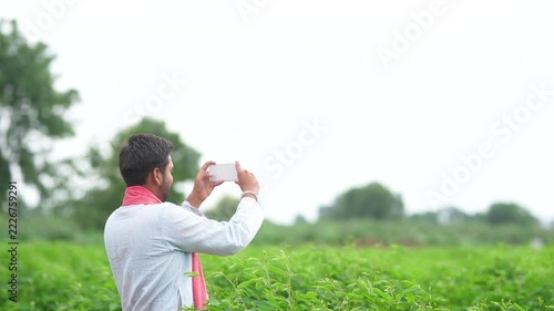indian farmer taking some picture in smartphone at pigeon pea agriculture field