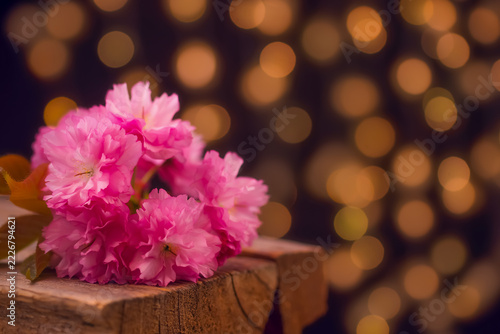 Stockfotografie rosa Blüten auf Holz mit Bokeh-Lichtern