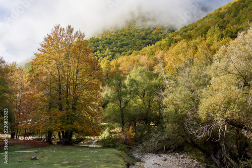 Autunno nel Parco Nazionale d'Abruzzo - Val Fondillo e Monte Amaro di Opi - Provincia di L'Aquila